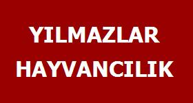 Detayl Bilgi in Tklaynz! 
