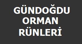 Detayl Bilgi in Tklaynz! 
