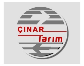Logo Yok