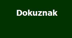 Logo Yok