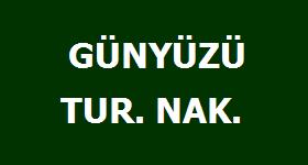 Logo Yok
