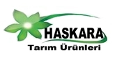 Logo Yok