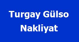 Logo Yok
