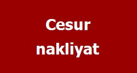 Logo Yok