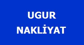 Logo Yok