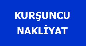Logo Yok