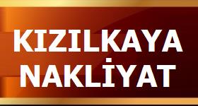Logo Yok