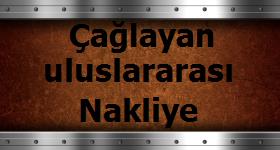 Logo Yok