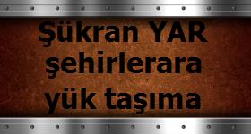 Logo Yok