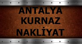 Logo Yok