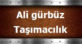 Logo Yok