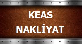 Logo Yok