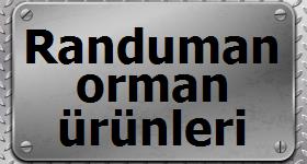 Logo Yok