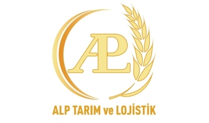 Logo Yok