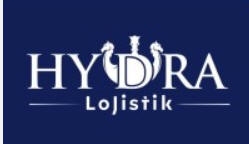 Logo Yok