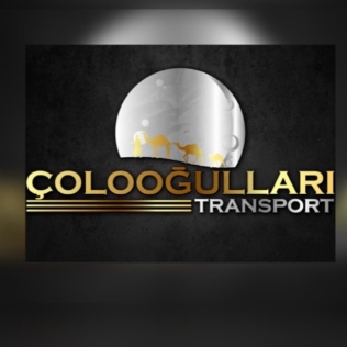 Logo Yok