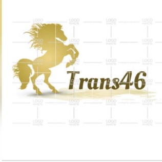 Logo Yok