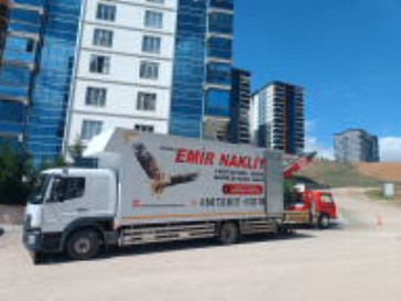 Logo Yok