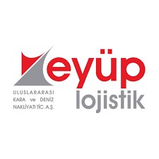 Logo Yok