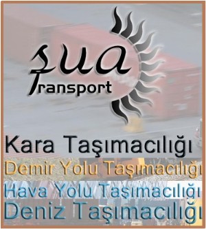 Logo Yok